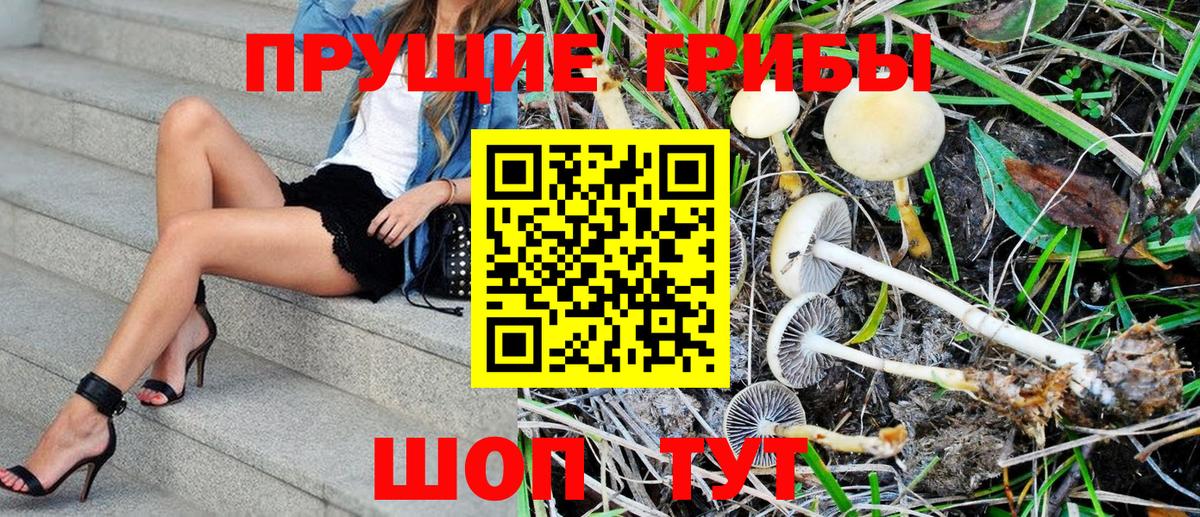 Псилоцибиновые грибы MAGIC MUSHROOMS  Галлюциногенные грибы Cubensis  где можно купить наркотик  Вход с VPN  Луга 