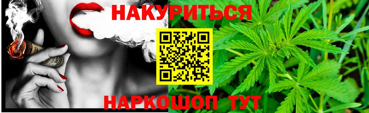 Луга  Бошки марихуана планчик  Бошки марихуана индика  Канабис планчик  Каннабис семена  Вход с VPN 